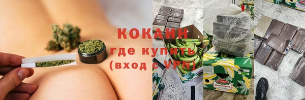 СК Бородино