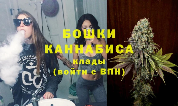 СК Бородино