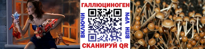 Псилоцибиновые грибы прущие грибы  купить наркотики сайты  Семёнов 